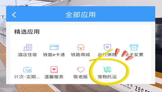 寵物貓狗能坐高鐵啦！