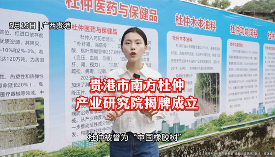 貴港市南方杜仲產(chǎn)業(yè)研究院揭牌成立